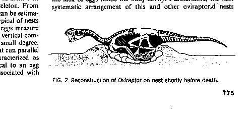 ������� � ������� N 1 (�� 