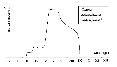 ������� � ������� N 7