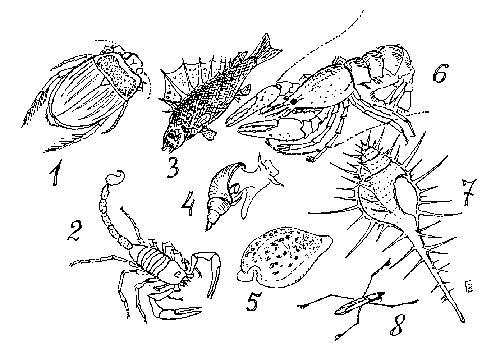 ������� � ������� N 5